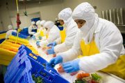 El ICA le apuesta a la inocuidad de los alimentos para proteger la salud de los consumidores