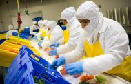 El ICA le apuesta a la inocuidad de los alimentos para proteger la salud de los consumidores