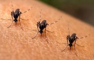 Defensoría solicita la adopción de planes de contingencia y prevención del dengue; preocupa el Cesar