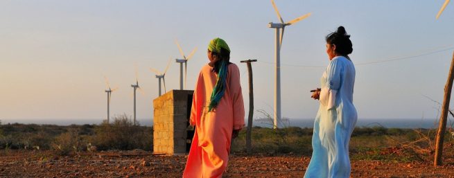 Estas son las acciones en torno a la posibilidad de la continuidad de operación del parque eólico JEPIRACHI