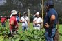 Se anuncia plan de salvamento para el Idreec