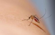 En 2023, en Colombia se han registrado 52.586 casos de dengue, según Minsalud; van 29 muertes