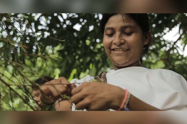 En la Sierra Nevada, OIT y Sena presentan a Colombia ‘Tejido de Paz’