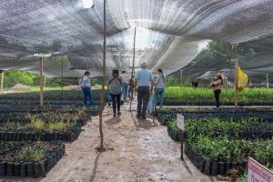 Indígenas wayúu de El Pasito, comprometidos con la conservación del manglar y el ecoturismo sostenible