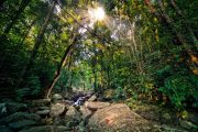Más de 40.000 niños cruzaron la selva del Darién en lo que va de 2023