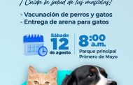 En Valledupar se realizará Jornada Gratuita de Protección y Bienestar Animal