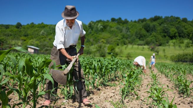 Reactivan el Sistema Nacional de Reforma Agraria