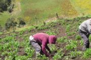Buscan a 80 mil campesinos que solicitaron titulación de predios a Incora e Incoder y su trámite no fue resuelto