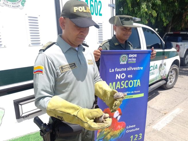 En Valledupar, Policía lidera campaña de prevención contra el tráfico de fauna, flora y maltrato animal