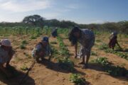 MinAgricultura destinará 15 mil millones de pesos para financiar proyectos de mujeres rurales