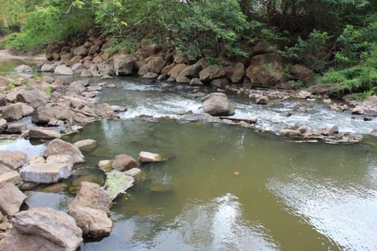 Trabajan en la rehabilitación de ecosistemas en la cuenca del río Ranchería en Barrancas (La Guajira)