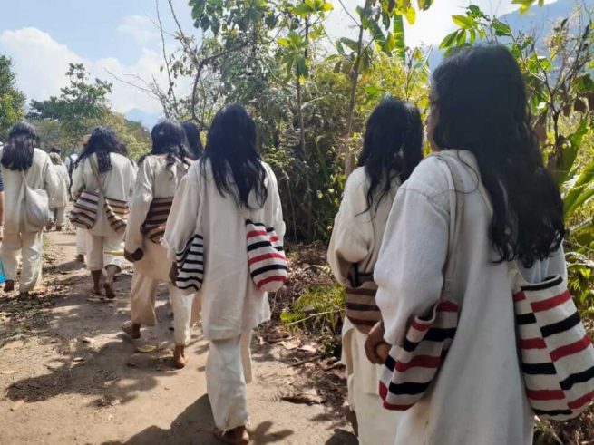 El llamado a proteger los derechos de los pueblos indígenas en Colombia