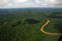 Adjudicadas 325 hectáreas a firmantes de paz en cuatro departamentos de Colombia