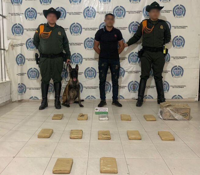Cayó con 12 kilos de marihuana