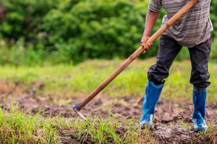 Proyecto de decreto de MinAgricultura hace un llamado a la movilización campesina