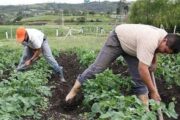 Cesar respalda la Reforma Agraria: más de 3.500 personas definieron Comité Regional