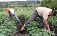 Cesar respalda la Reforma Agraria: más de 3.500 personas definieron Comité Regional