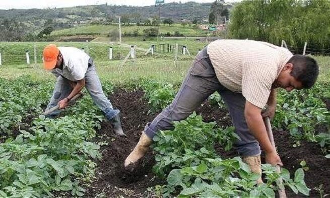 Cesar respalda la Reforma Agraria: más de 3.500 personas definieron Comité Regional