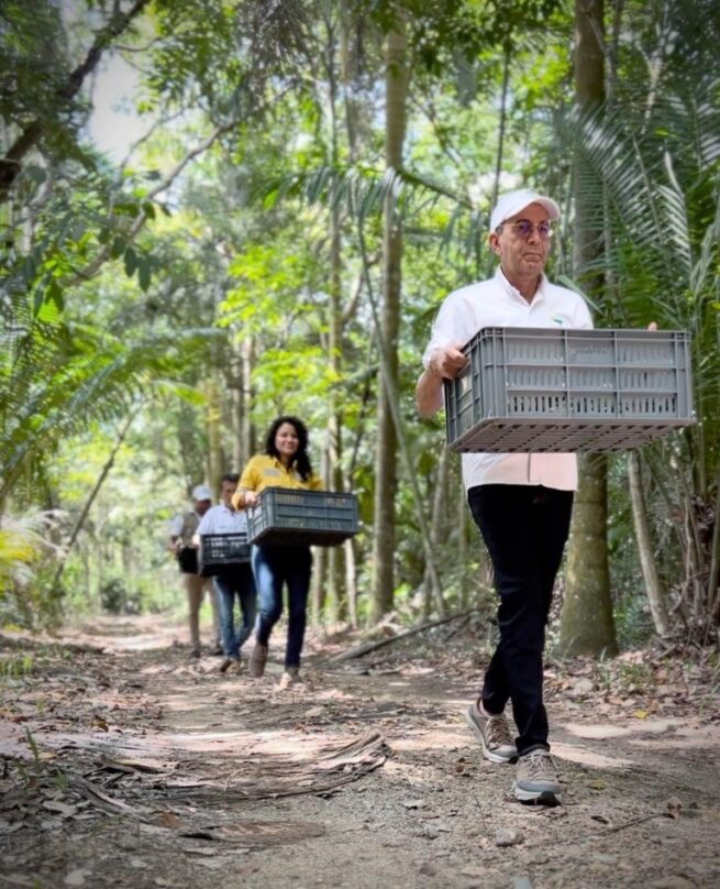 En Dibulla realizaron la introducción de 1.400 hicoteas a su medio natural