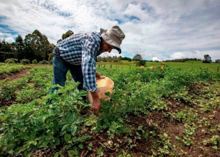 A los campesinos se les reducirán saldos de sus créditos a través del ICR