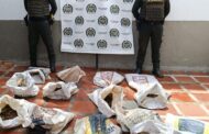 Policía recuperó 79 babillas en La Gloria, Cesar