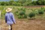 Las observaciones de la Procuraduría al proyecto decreto del Gobierno para compra de tierras y extinción de dominio