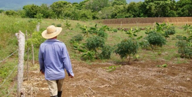 Las observaciones de la Procuraduría al proyecto decreto del Gobierno para compra de tierras y extinción de dominio