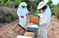 El Cesar, uno de los departamentos donde se realizarán talleres regionales de actualización en Buenas Prácticas Apícolas