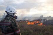 80 brigadas protegerán la biodiversidad ante incendios forestales en Colombia