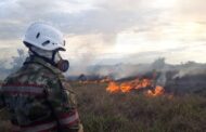 80 brigadas protegerán la biodiversidad ante incendios forestales en Colombia