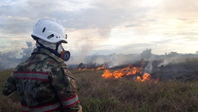80 brigadas protegerán la biodiversidad ante incendios forestales en Colombia