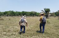 Buscan a 83.501 solicitantes de tierras para que actualicen sus datos y dar trámite a sus procesos