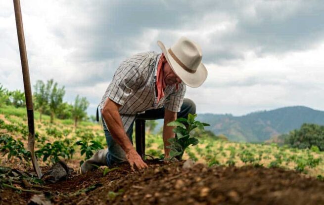 Destinan 28 mil millones de pesos para el campo colombiano