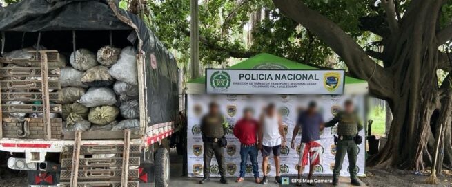 Por el delito de aprovechamiento ilícito de los recursos naturales renovables, capturadas tres personas