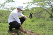 Se desarrolla con éxito avanza la Sembratón “La Guajira Siembra Vida”