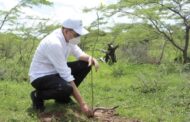 Se desarrolla con éxito avanza la Sembratón “La Guajira Siembra Vida”
