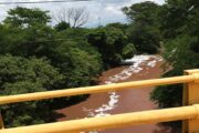 Lirio y “lengua de suegra” descontaminarían aguas residuales que llegan al río Cesar