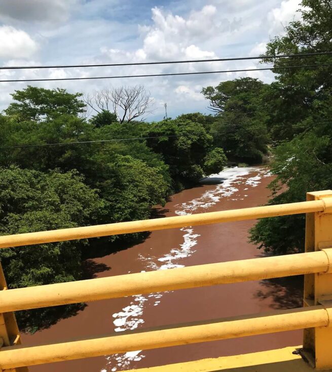 Lirio y “lengua de suegra” descontaminarían aguas residuales que llegan al río Cesar