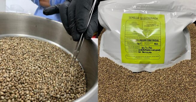 Avanza el acuerdo de competitividad sobre semillas autorizadas para detener la ilegalidad del sector