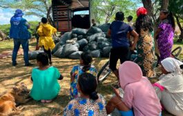 Entregan 840 toneladas de insumos agropecuarios para proteger seguridad alimentaria en La Guajira y Cesar