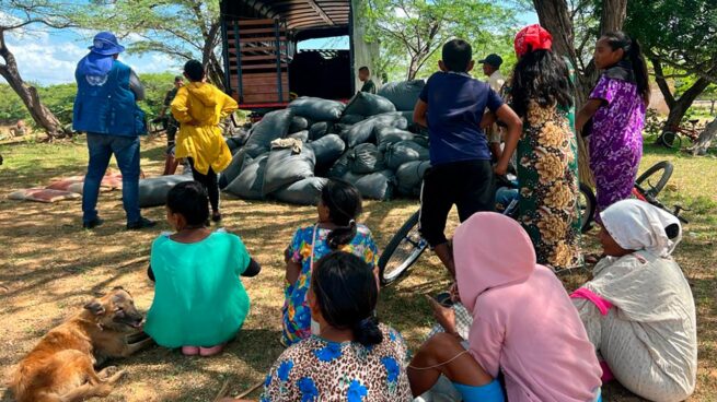 Entregan 840 toneladas de insumos agropecuarios para proteger seguridad alimentaria en La Guajira y Cesar