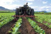 Finagro ha desembolsado más de $ 7,8 billones para financiar la producción de alimentos en Colombia