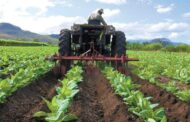 Finagro ha desembolsado más de $ 7,8 billones para financiar la producción de alimentos en Colombia