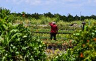 Reactivan la Comisión Intersectorial para la Reforma Agraria