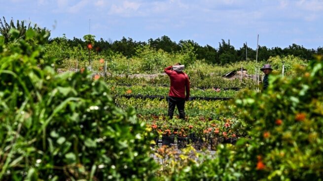 Reactivan la Comisión Intersectorial para la Reforma Agraria