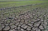 El Niño durará hasta abril de 2024 y se alcanzarán temperaturas récord