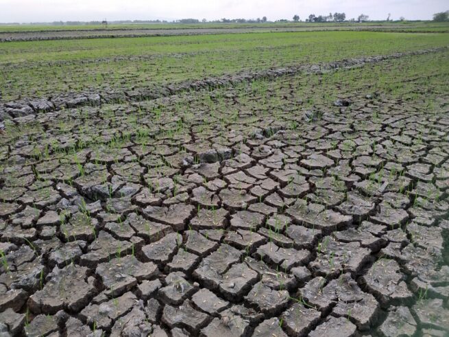 El Niño durará hasta abril de 2024 y se alcanzarán temperaturas récord