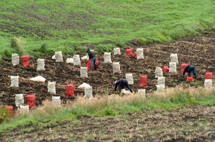 Con el apoyo de MinAgricultura, desde el Cesar se impulsará una transición agroecológica