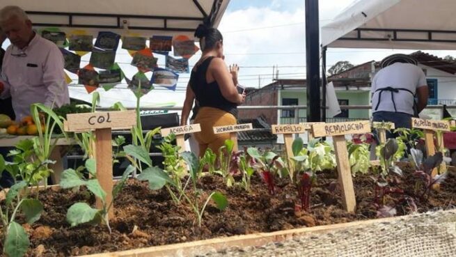 Sena apoyará a más de 390 mil protagonistas de la economía campesina y popular