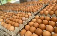 Colombia está lista para exportar huevos frescos hacia Cuba